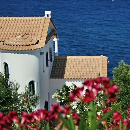 Plaka
